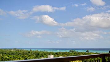 Estudio Deluxe, vista al mar | Áreas de la propiedad