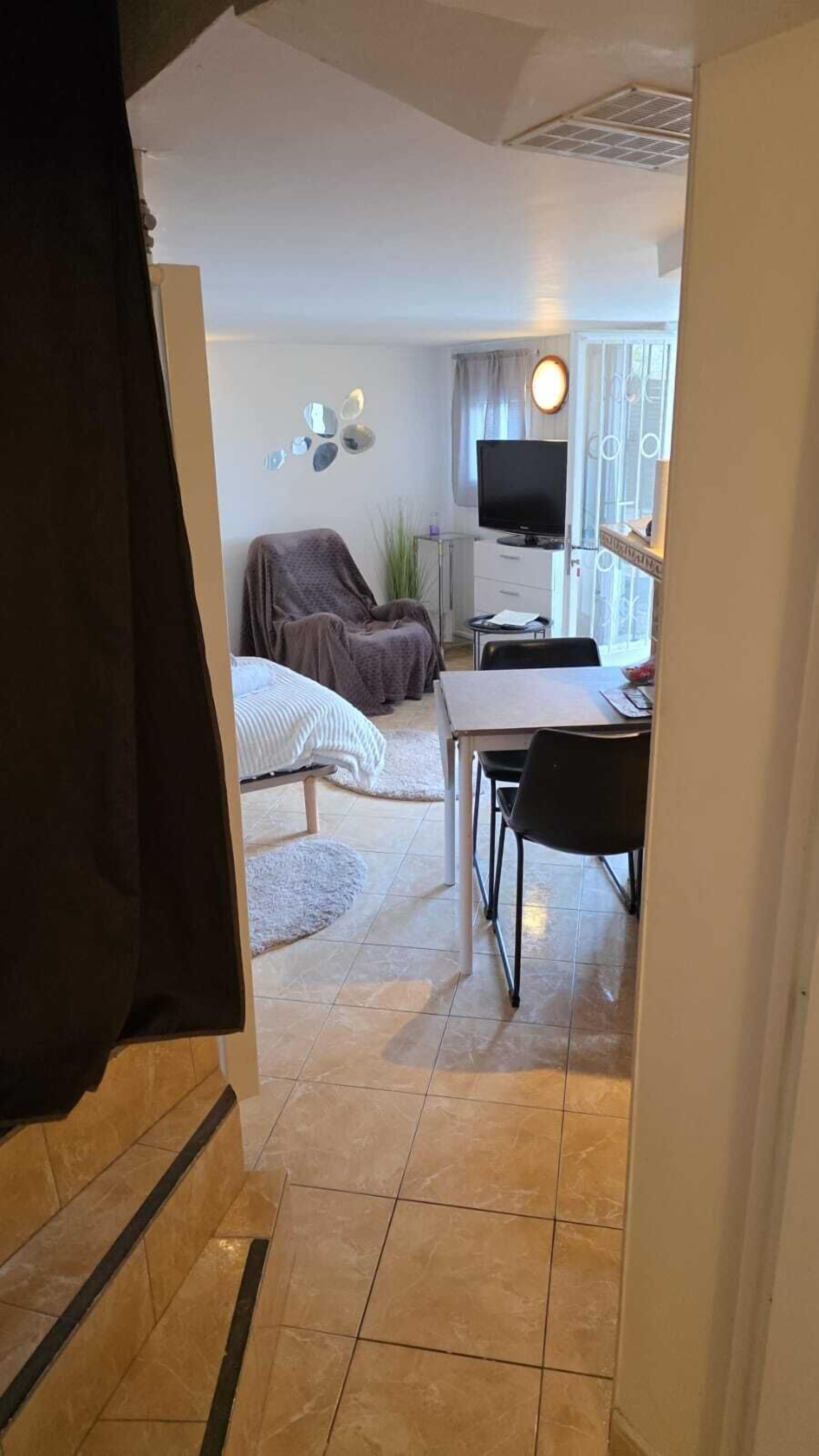 Un espace de vie compact comprenant un lit, une table à manger, un téléviseur et une petite plante.
