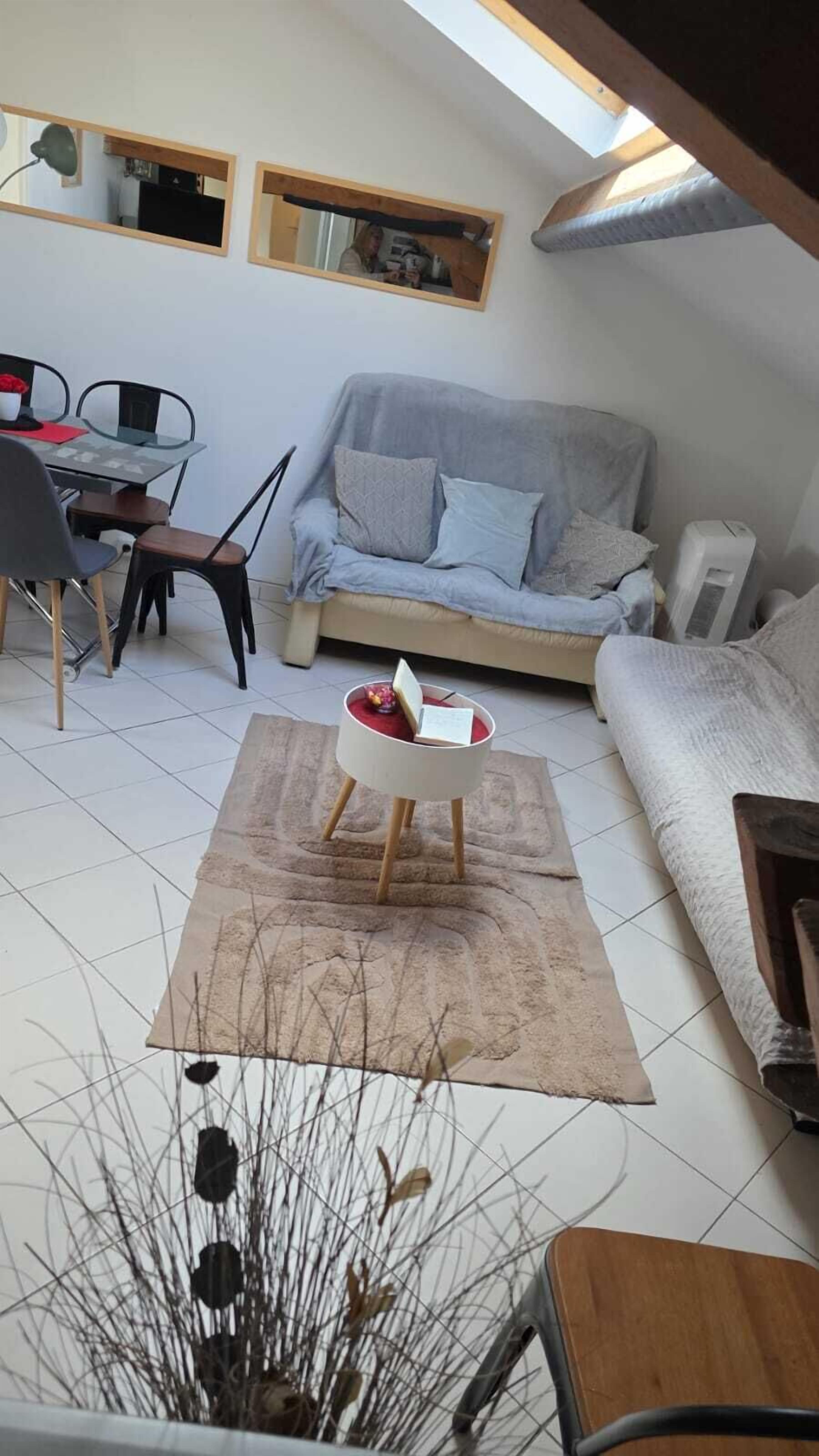A compact living space with a dining area, a sofa, a small table with a laptop, and a ceiling fan.