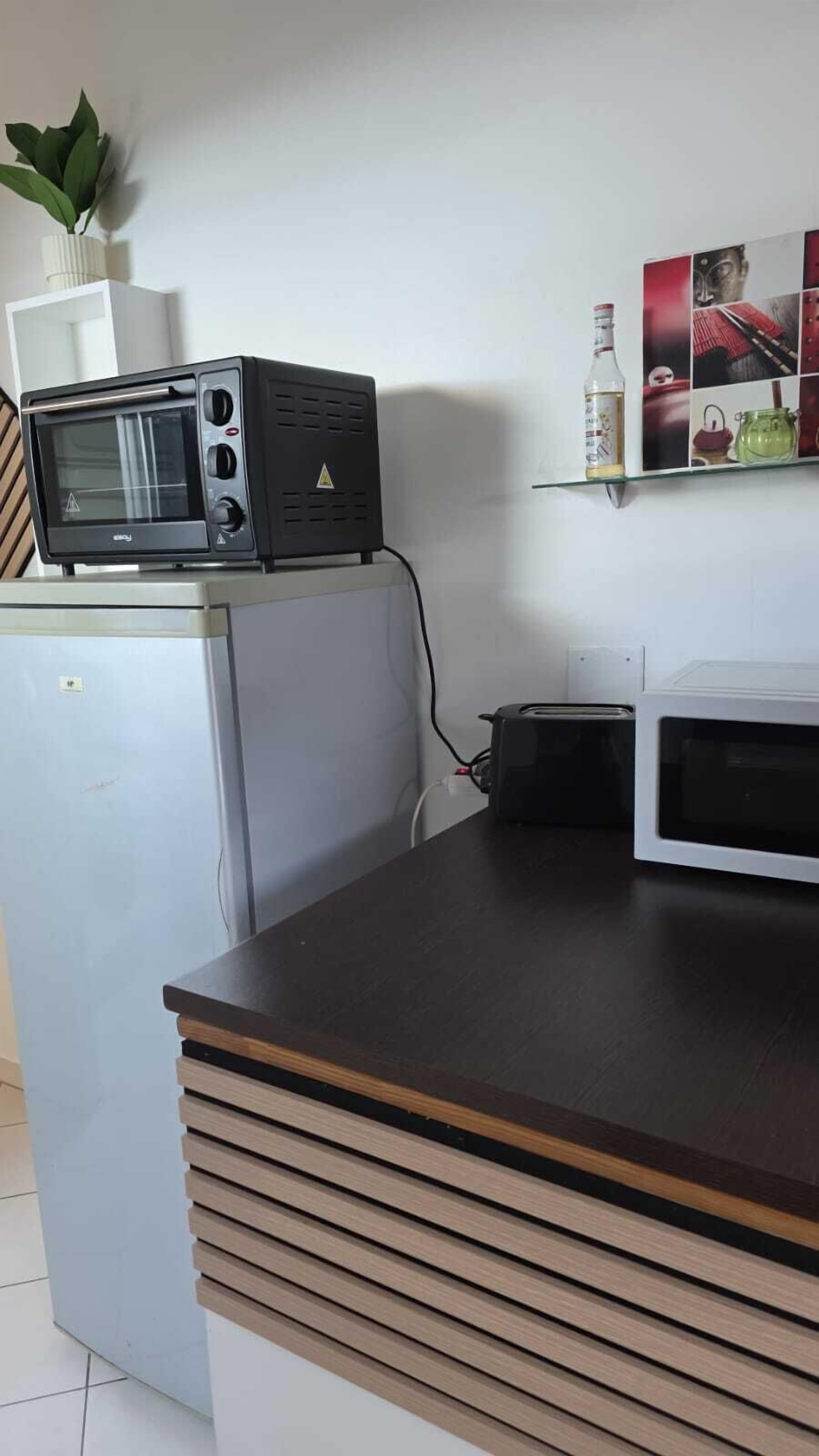 A kitchenette with a microwave, toaster, and a small refrigerator.