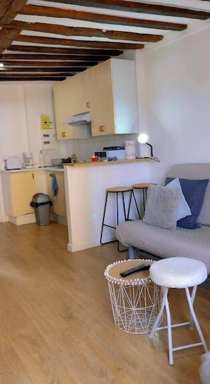 TV - Cozy, fully equipped studio near Disneyland | Fully equipped (La Ferté-sous-Jouarre)