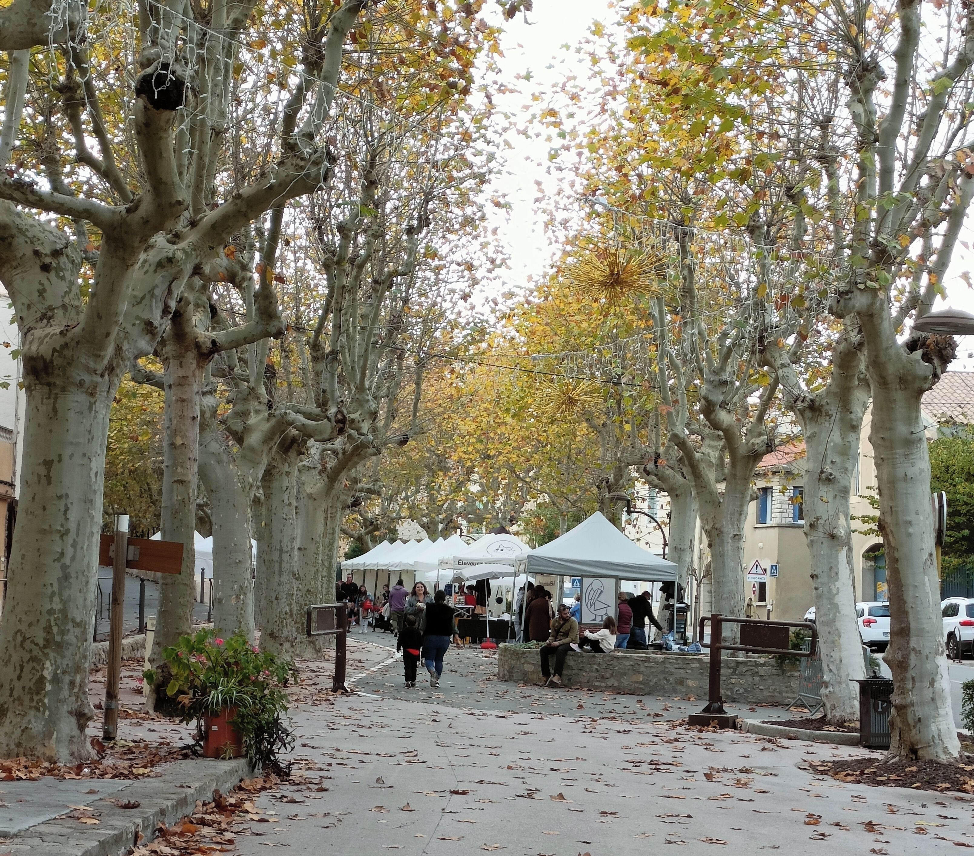 A tree-lined pedestrian street with white tents and people.