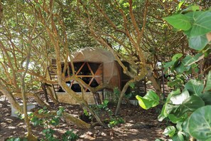 Bungalow Deluxe, vue plage