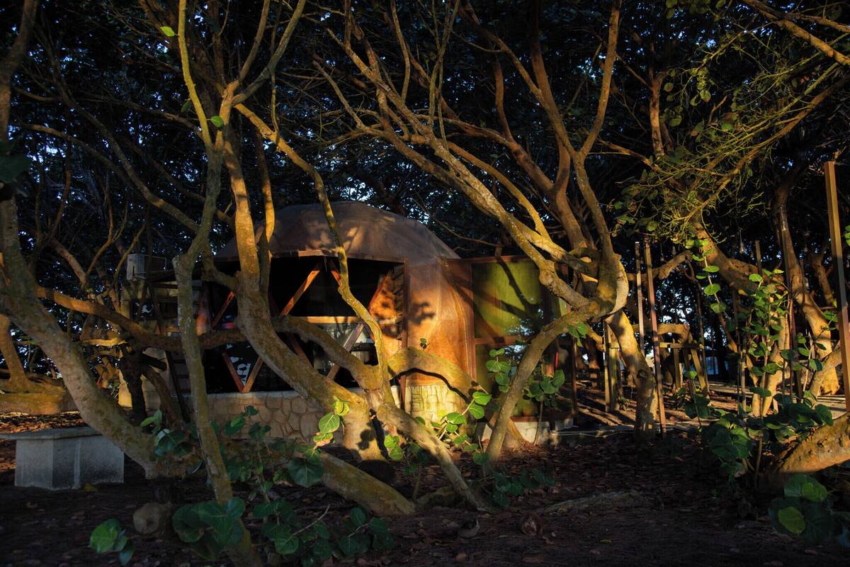 Bungalow Deluxe, vista parcial al océano | Camas Select Comfort, escritorio, wifi gratis y ropa de cama