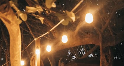 Hotel Playa Tortugas