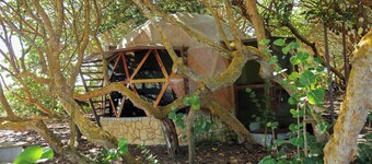 Hotel Playa Tortugas