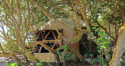 Hotel Playa Tortugas