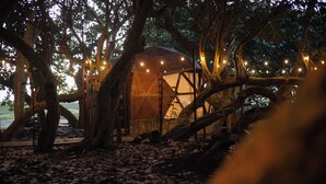 Una casa en los árboles con estructura de madera rústica, rodeada de árboles grandes e iluminada con luces colgantes.