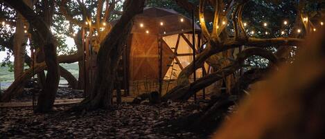 Deluxe bungalow, uitzicht op oceaan | Exterieur