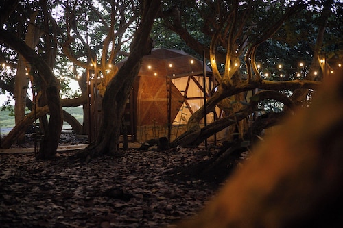 Hotel Playa Tortugas