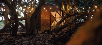 龍舌蘭海灘飯店  