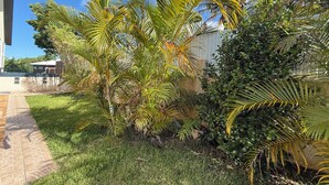 A garden with palm trees and a paved walkway. - Large 100 m² T3 with garden & sea view - Absolute peace and quiet in Petite-Île (Petite-Île)