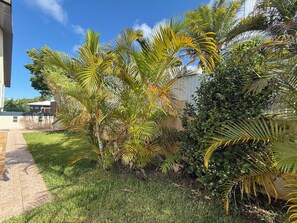 Property grounds - Large 100 m² T3 with garden & sea view - Absolute peace and quiet in Petite-Île (Petite-Île)