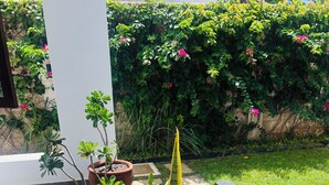 A garden area with potted plants and a hedge in the background. -  2Bdr zen villa private pool + cleaning (Diani Beach)