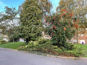 المنطقة المحيطة بالمنشأة