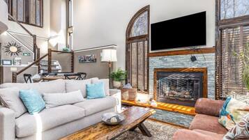 Télévision, cheminée, livres