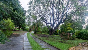 A stone pathway leading through a garden with various trees and shrubs. - Casa Perto da Serra do Cip com Piscina e Sinuca (Jaboticatubas)
