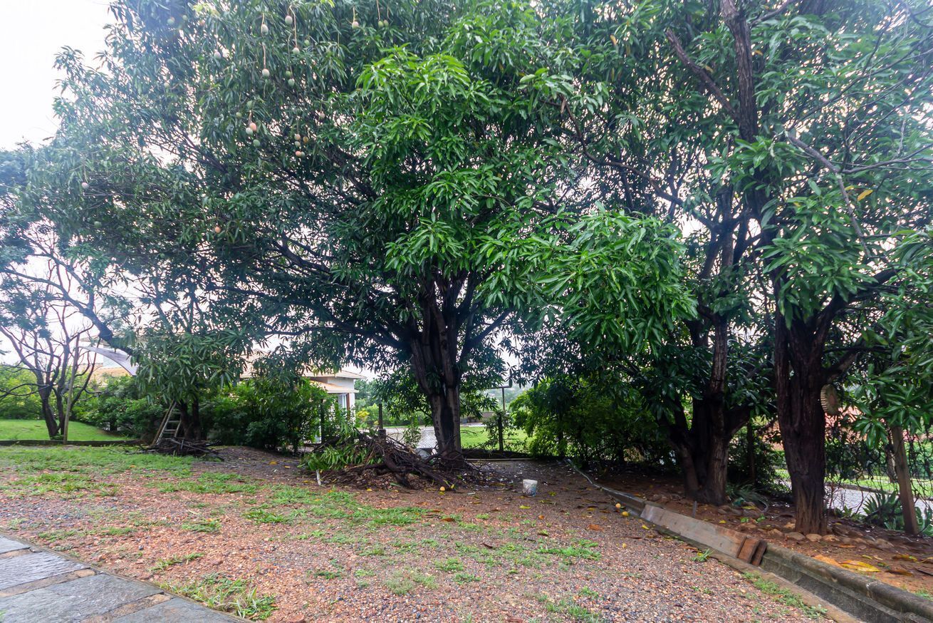 Casa, para fumantes | 3 quartos