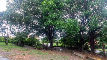 Casa, para fumantes | 3 quartos