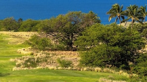 Ein Golfplatz mit Blick auf das Meer und Palmen.
