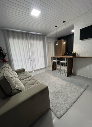 Fernseher, Bücher