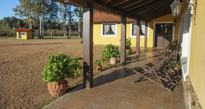 Gorgeous 7-bedroom farmhouse with AC in charming Soca
