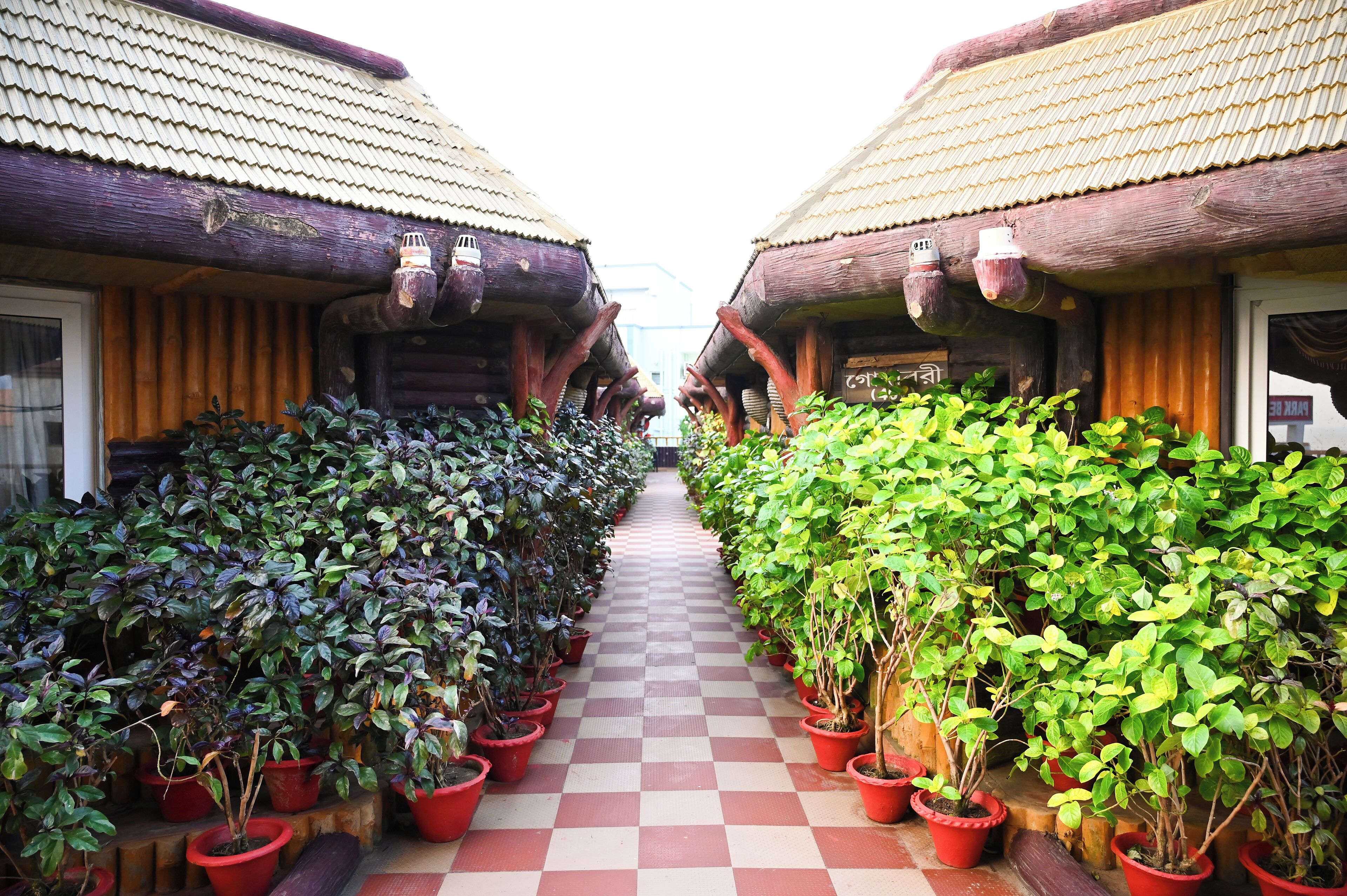 Un couloir bordé de plantes en pot mène à des bâtiments traditionnels en bois, coiffés de toits de chaume.