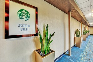 Interior - Skyline Serenity-strip,pool,f1 View-no Resort Fee (Las Vegas)