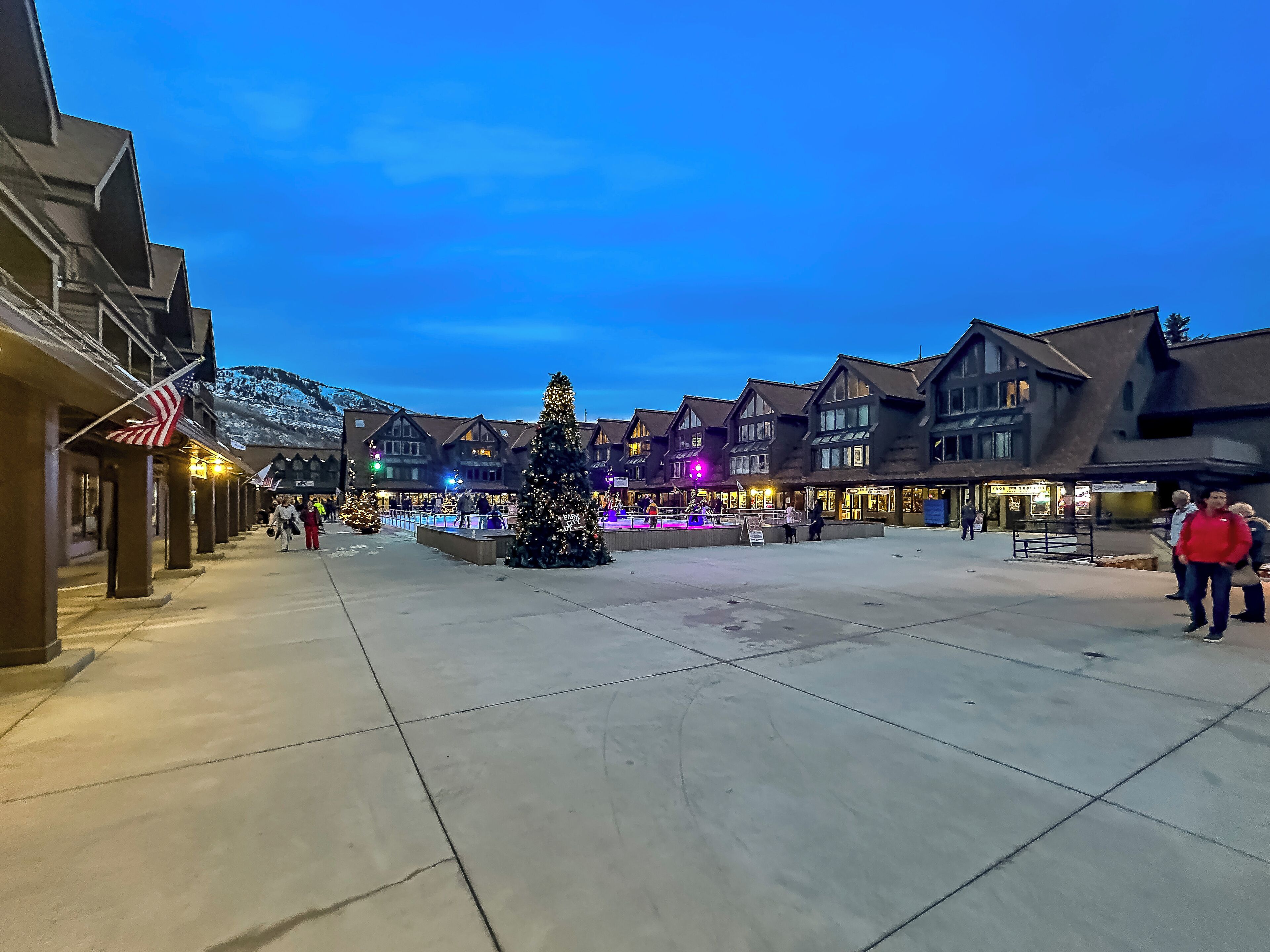 A town square with traditional buildings, a large Christmas tree, and a fountain.