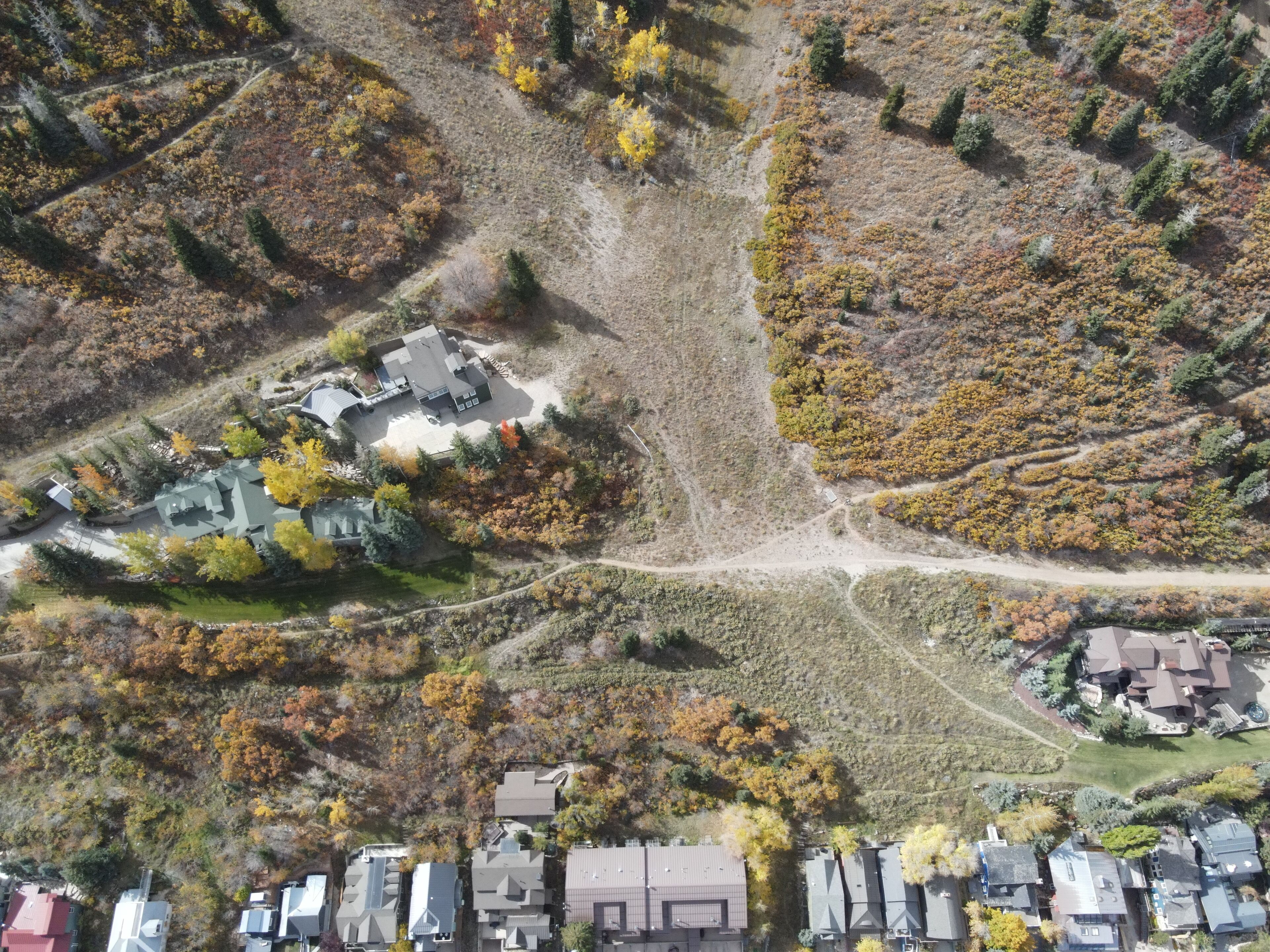 An aerial view of a residential area with houses, a central road, and surrounding vegetation.