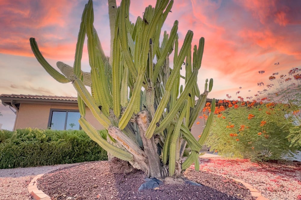 Truro Sun Lakes - Palo Verde, AZ