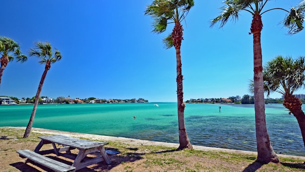 On voit clairement une plage avec une table de pique-nique en bois et des palmiers.