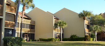 Midnight Cove II - Sunrise