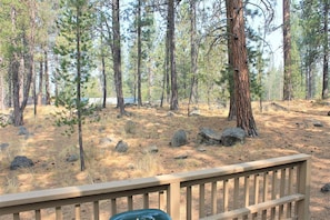 Interior - Cluster Cabin 13 (Bend)