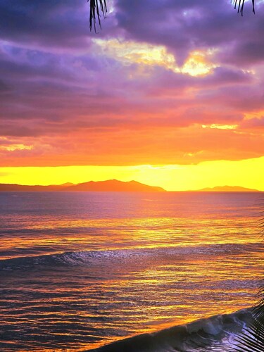 Perfect 1-bedroom bungalow with AC in peaceful Playa reina