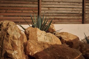 Un jardin de rocaille agrémenté de plantes d’agave et de gros rochers, le tout mis en valeur par une clôture en bois.