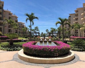 Property grounds - Endless Ocean Views, Beautiful Blend of indoor, outdoor space. July Aug specials (Cabo San Lucas)