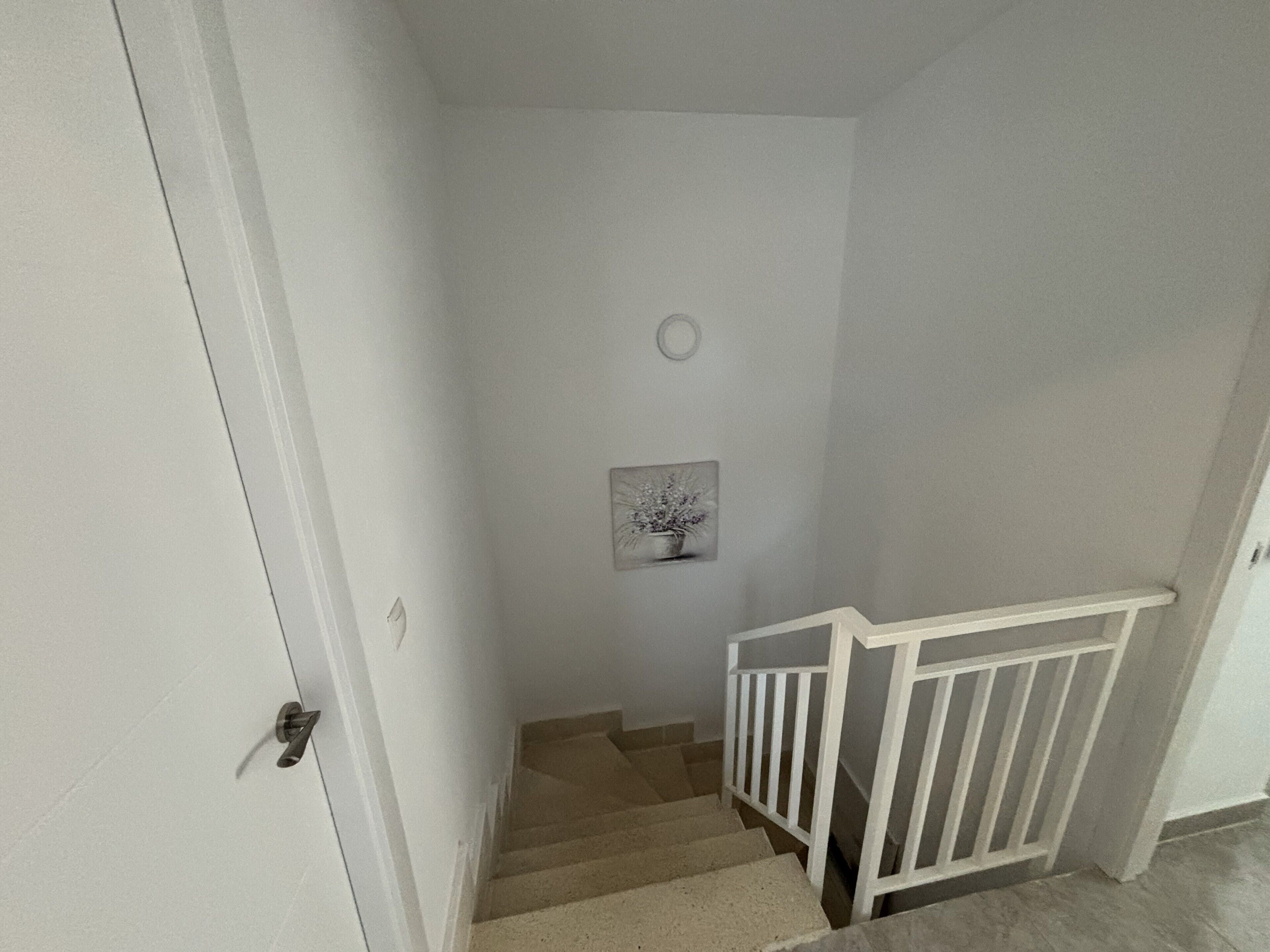A staircase with a white railing, a door on the left, and a small framed picture on the wall.
