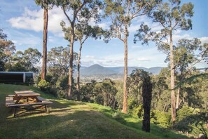 تناول الطعام بالخارج