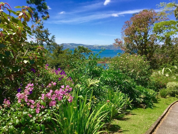 Property grounds - Arenal Rainforest Retreat with Hot Tub, Lake View: a Birdwatcher's Paradise (Nuevo Arenal)