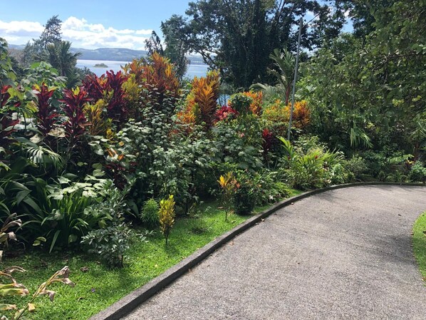 Property grounds - Serene Rainforest Retreat with Lake Arenal Views (Nuevo Arenal)