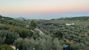 A landscape with olive groves, a road, and buildings in the distance. - VILLA BERTA (Vieste)