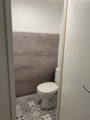 Chuveiro, secador de cabelo, toalhas de banho, sabonete