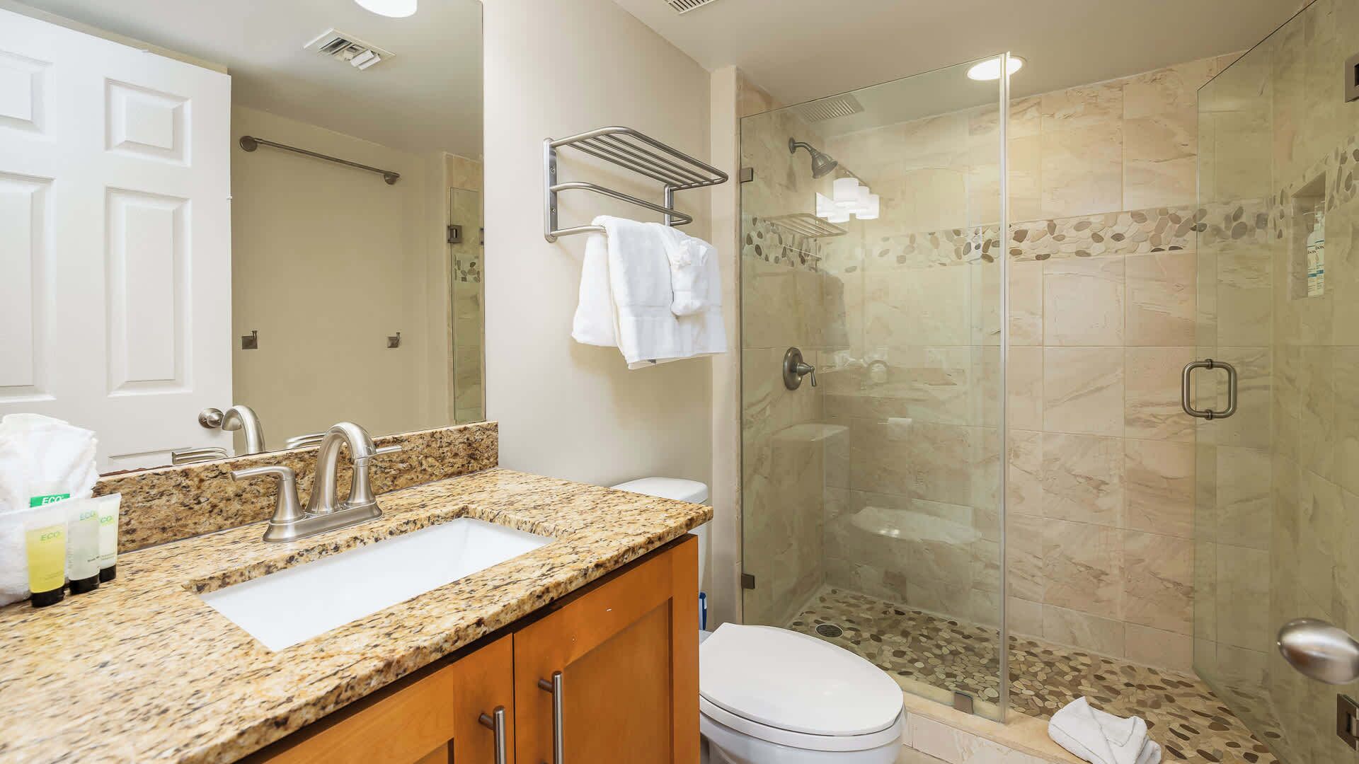 A bathroom with a granite countertop, a white sink, a toilet, and a glass-enclosed shower.