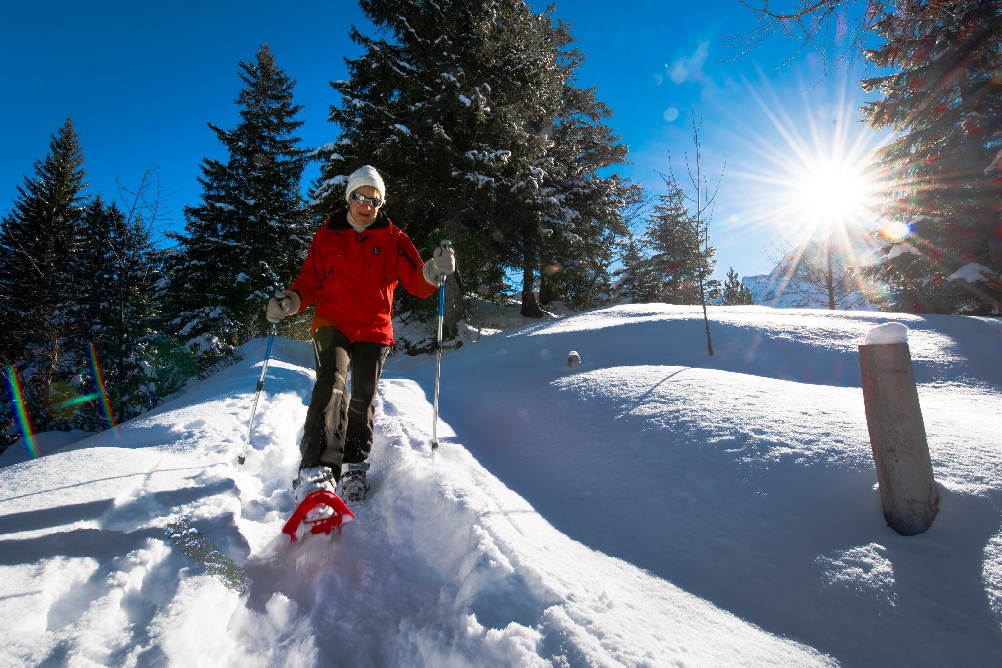Una persona esquiando en una pendiente nevada con árboles y cielo despejado.