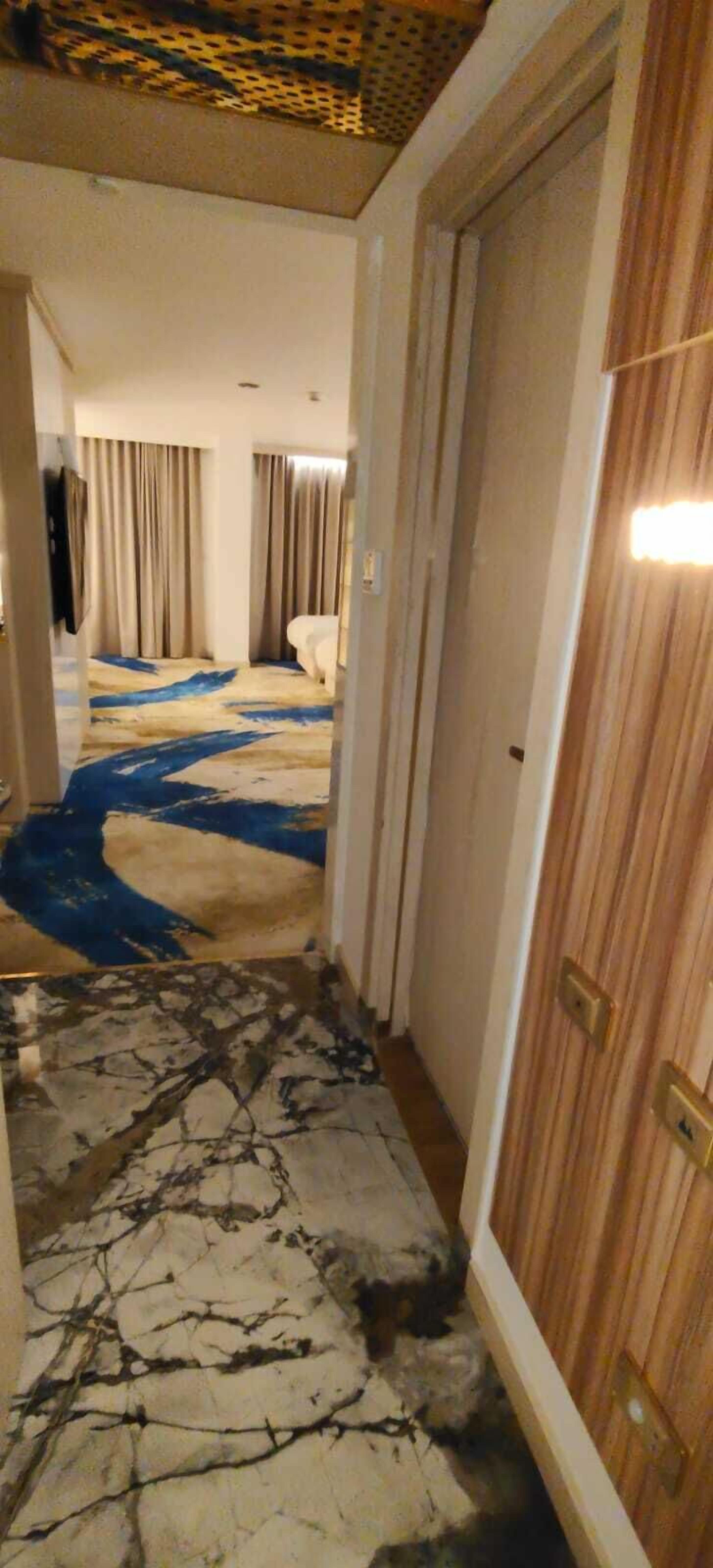 Un couloir d’hôtel avec un tapis à motifs, une porte en bois et, au fond, une chambre avec des rideaux.