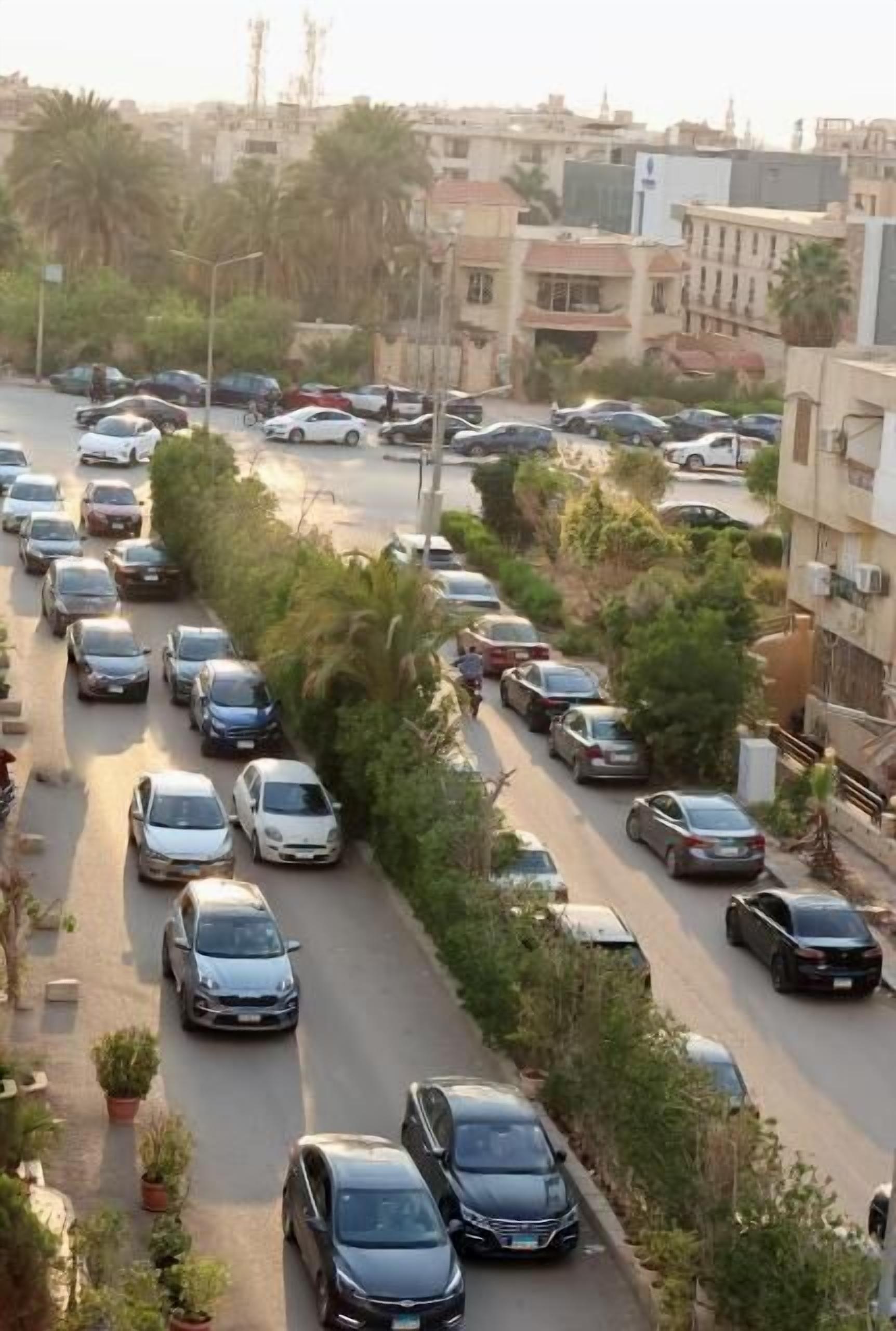 A street view with parked cars, buildings, and trees.