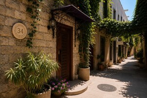 A narrow street with buildings, a door with a metal gate, and potted plants.