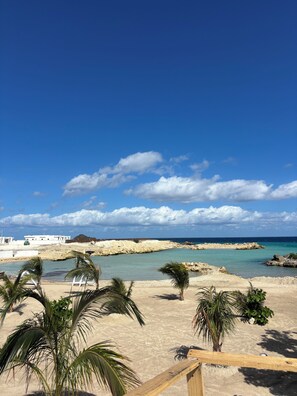 Une plage avec un ciel dégagé, des palmiers et une côte rocheuse.