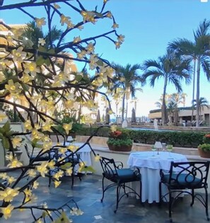 Outdoor dining - Hot summer special rates.  Oceanview, stunning view and interior.  BBQ, perfect! (Cabo San Lucas)